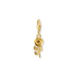 Thomas Sabo Charm, колекция Charm Club