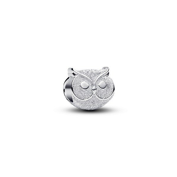 Pandora Мини Талисман Знай и бъди