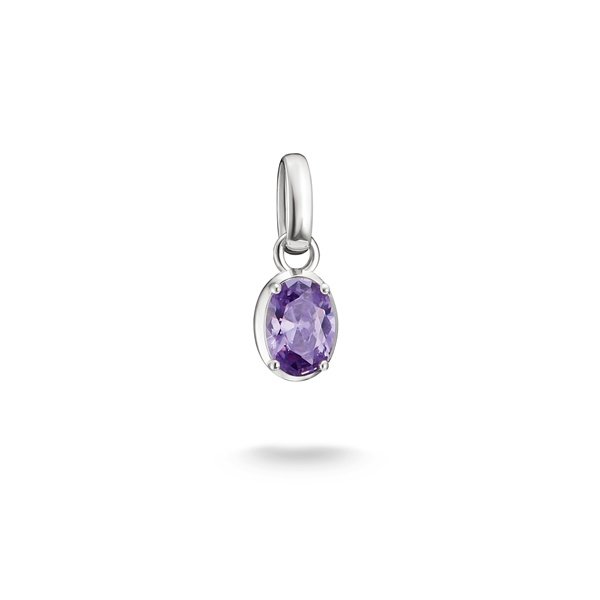 Thomas Sabo Charm Connect Февруари