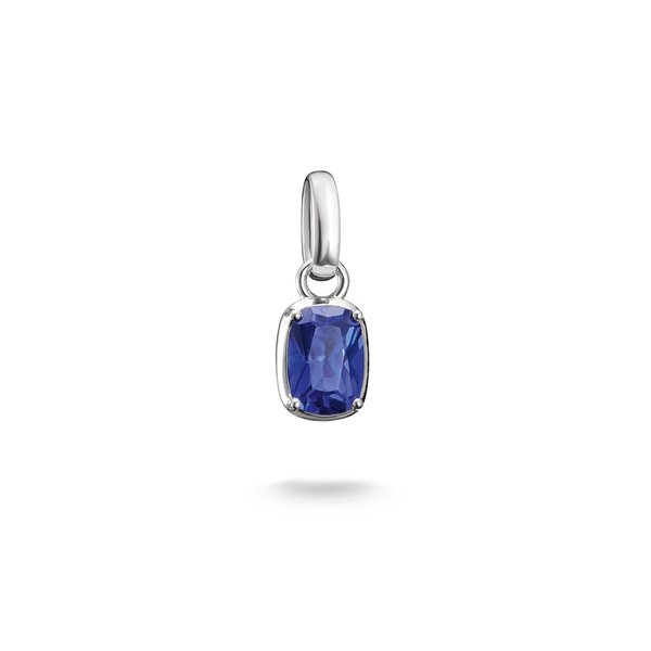 Thomas Sabo Charm Connect Септември