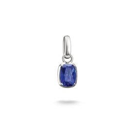 Thomas Sabo CC Charm  Септември