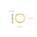 Blush Обеци 14k